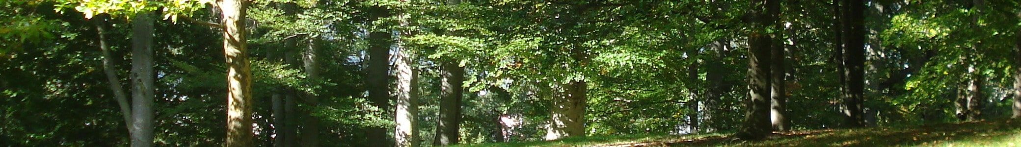 Theberk